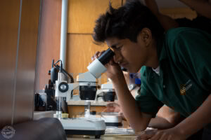Student examining samples through a microscope